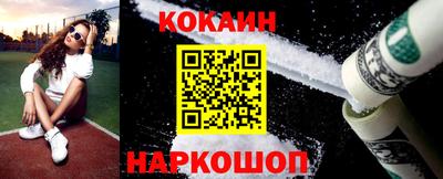 СК Гатчина