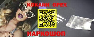 СК Гатчина