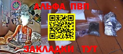 СК Гатчина