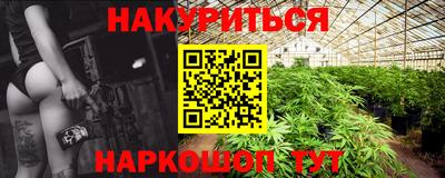 СК Гатчина