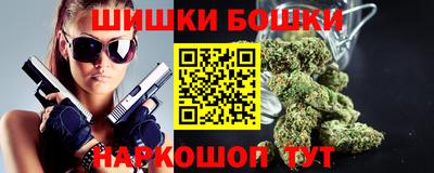 СК Гатчина