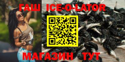 СК Гатчина