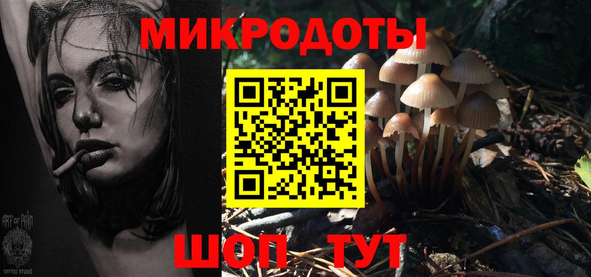 Галлюциногенные грибы Psilocybe Губаха