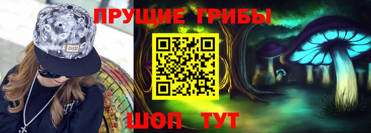 Псилоцибиновые грибы ЛСД  Галлюциногенные грибы Psilocybine cubensis  Губаха  Вход с VPN 