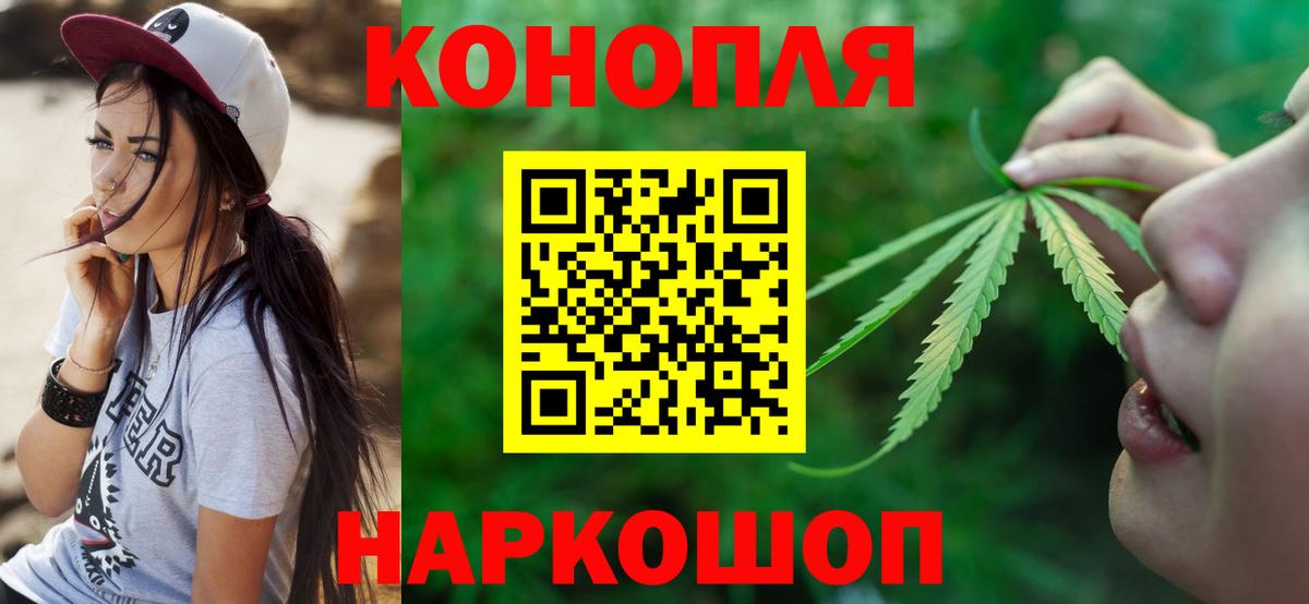 МАРИХУАНА план Губаха